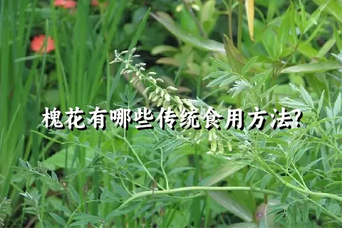 槐花有哪些传统食用方法?