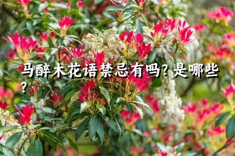 马醉木花语禁忌有吗？是哪些？