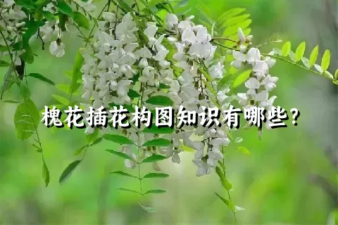 槐花插花构图知识有哪些？