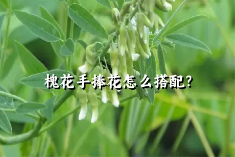 槐花手捧花怎么搭配？