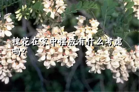 槐花在家中摆放有什么考虑吗？