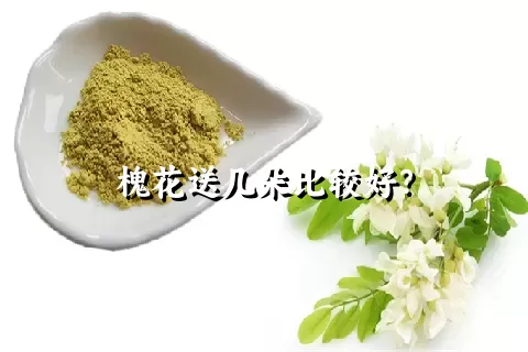 槐花送几朵比较好？