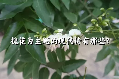 槐花为主题的现代诗有那些？