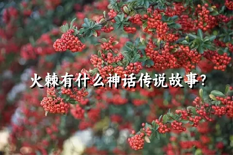 火棘有什么神话传说故事？