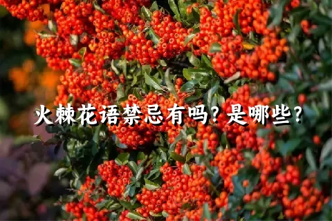 火棘花语禁忌有吗？是哪些？