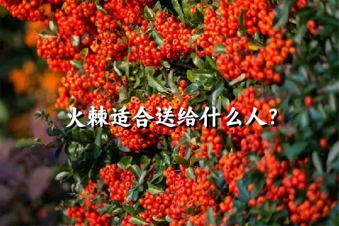 火棘适合送给什么人？