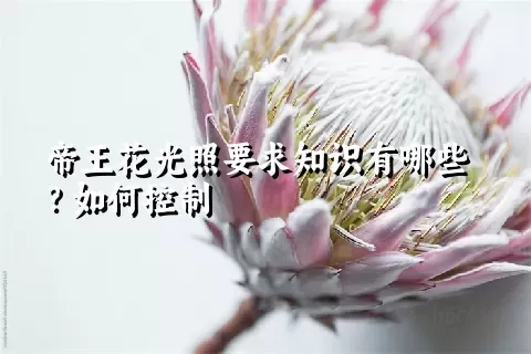 帝王花光照要求知识有哪些？如何控制