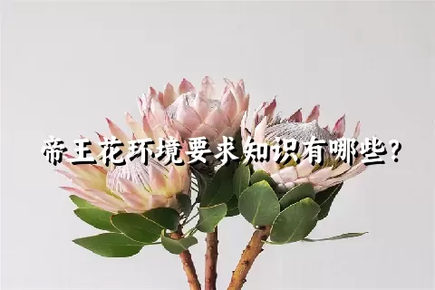 帝王花环境要求知识有哪些？