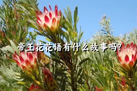 帝王花花语有什么故事吗？