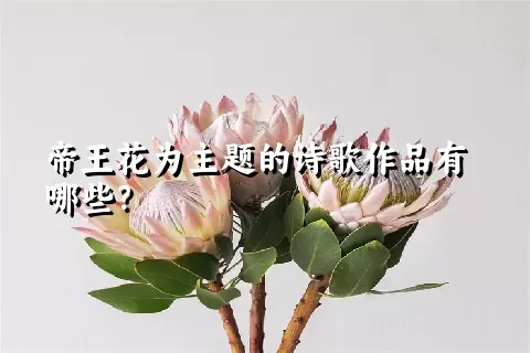 帝王花为主题的诗歌作品有哪些？