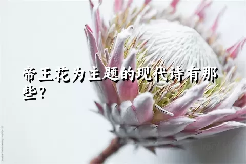 帝王花为主题的现代诗有那些？