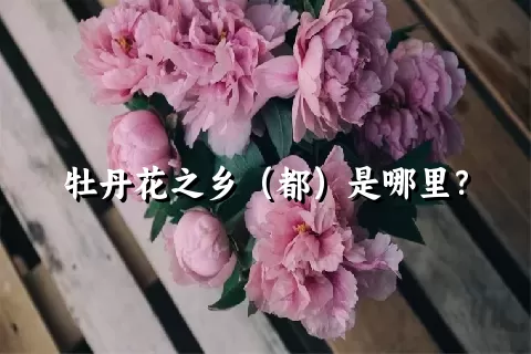 牡丹花之乡（都）是哪里？