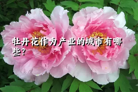 牡丹花作为产业的城市有哪些？