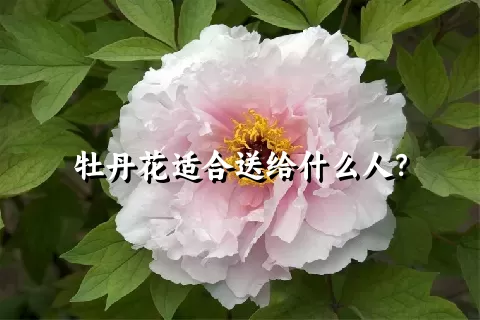 牡丹花适合送给什么人？