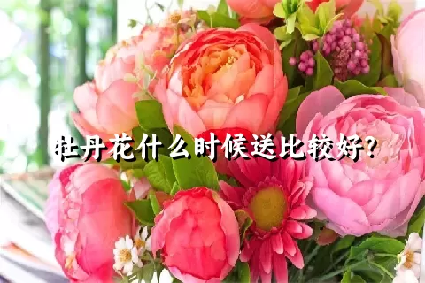 牡丹花什么时候送比较好？