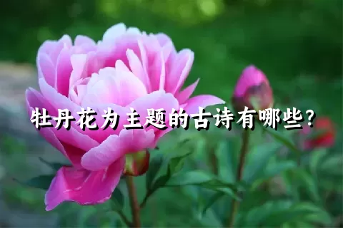 牡丹花为主题的古诗有哪些？