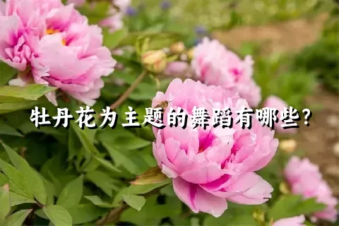 牡丹花为主题的舞蹈有哪些？