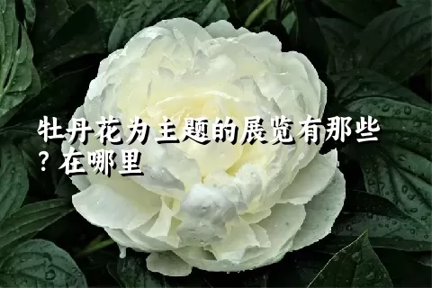 牡丹花为主题的展览有那些？在哪里