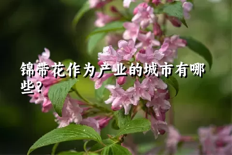 锦带花作为产业的城市有哪些？