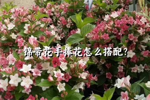 锦带花手捧花怎么搭配？