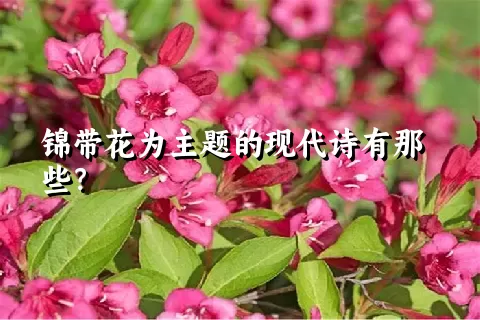 锦带花为主题的现代诗有那些？