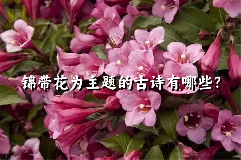 锦带花为主题的古诗有哪些？