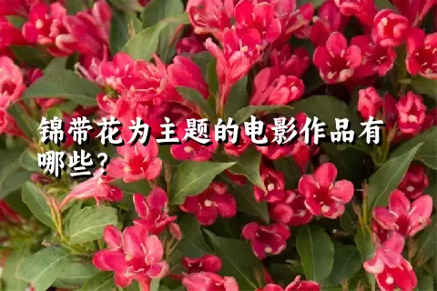 锦带花为主题的电影作品有哪些？