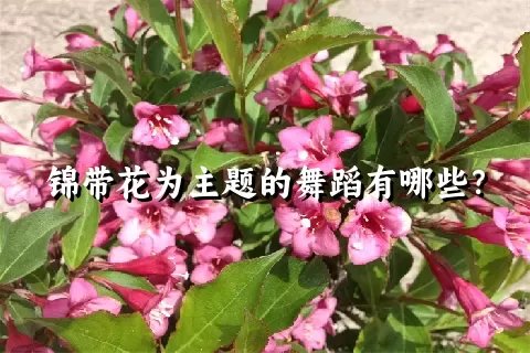 锦带花为主题的舞蹈有哪些？