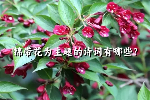 锦带花为主题的诗词有哪些？