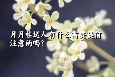 月月桂送人有什么需要提前注意的吗？