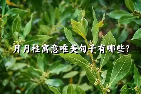 月月桂寓意唯美句子有哪些？