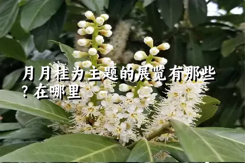 月月桂为主题的展览有那些？在哪里