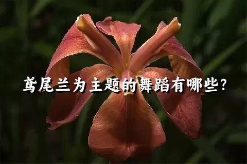 鸢尾兰为主题的舞蹈有哪些？