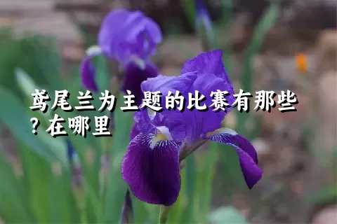 鸢尾兰为主题的比赛有那些？在哪里