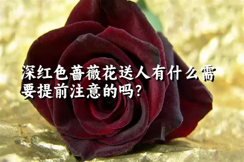 深红色蔷薇花送人有什么需要提前注意的吗？