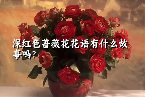 深红色蔷薇花花语有什么故事吗？