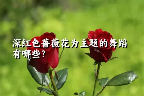 深红色蔷薇花为主题的舞蹈有哪些？