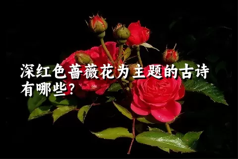 深红色蔷薇花为主题的古诗有哪些？