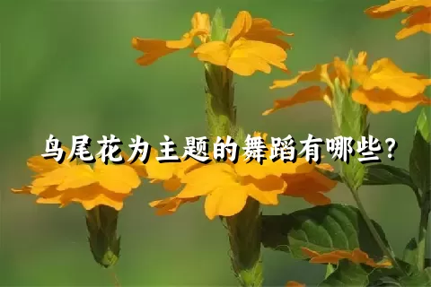 鸟尾花为主题的舞蹈有哪些？