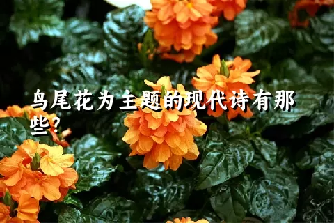 鸟尾花为主题的现代诗有那些？