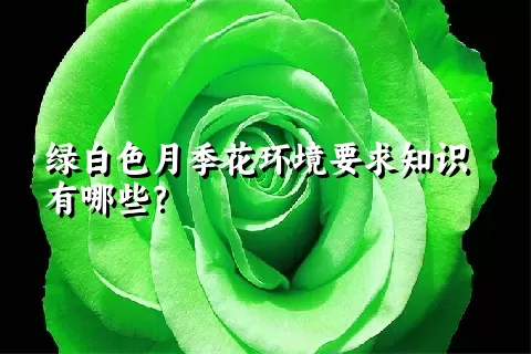 绿白色月季花环境要求知识有哪些？