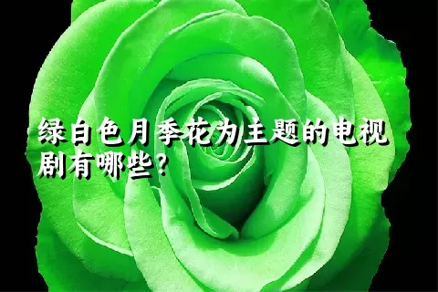 绿白色月季花为主题的电视剧有哪些？