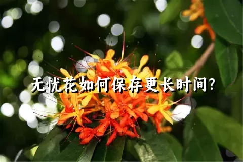 无忧花如何保存更长时间？