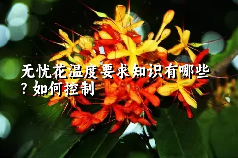 无忧花温度要求知识有哪些？如何控制