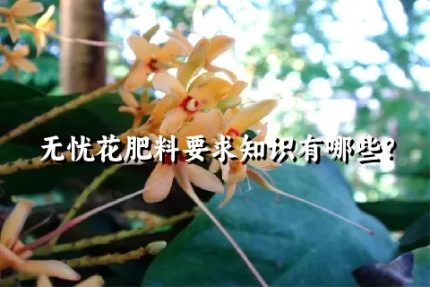 无忧花肥料要求知识有哪些？