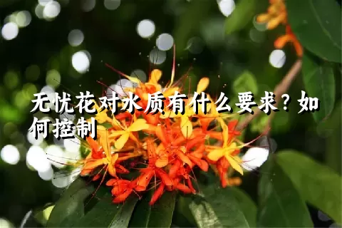 无忧花对水质有什么要求？如何控制