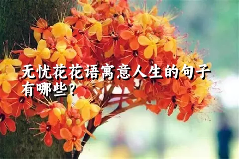 无忧花花语寓意人生的句子有哪些？