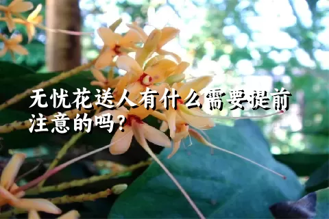 无忧花送人有什么需要提前注意的吗？