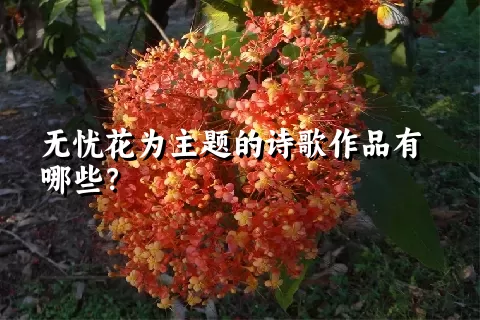 无忧花为主题的诗歌作品有哪些？