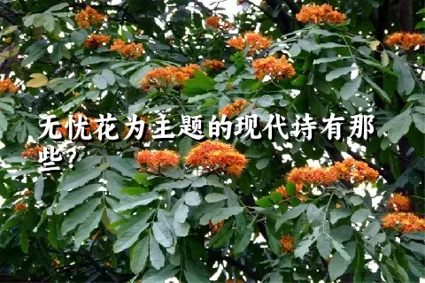 无忧花为主题的现代诗有那些？